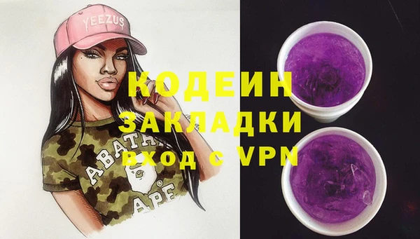 молекула духа Каменск-Шахтинский