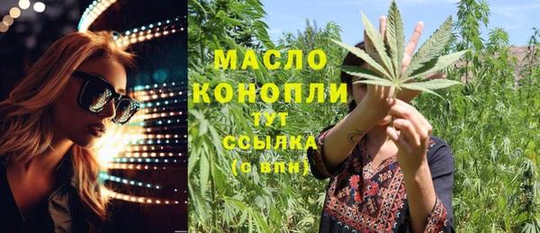 молекула духа Каменск-Шахтинский
